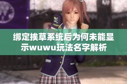 绑定挨草系统后为何未能显示wuwu玩法名字解析