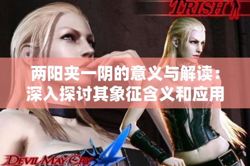 两阳夹一阴的意义与解读：深入探讨其象征含义和应用场景