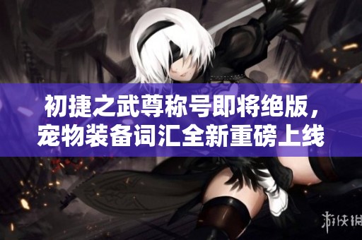 初捷之武尊称号即将绝版，宠物装备词汇全新重磅上线！