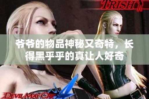爷爷的物品神秘又奇特，长得黑乎乎的真让人好奇
