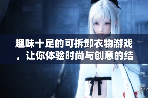 趣味十足的可拆卸衣物游戏，让你体验时尚与创意的结合