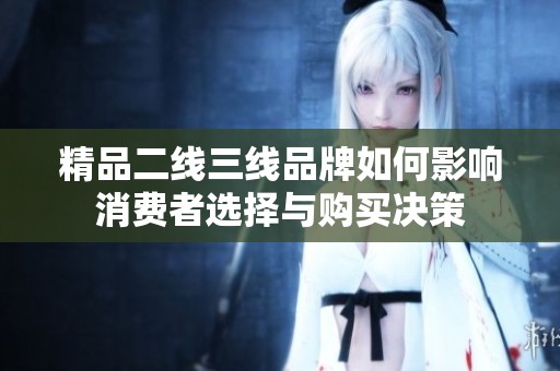 精品二线三线品牌如何影响消费者选择与购买决策