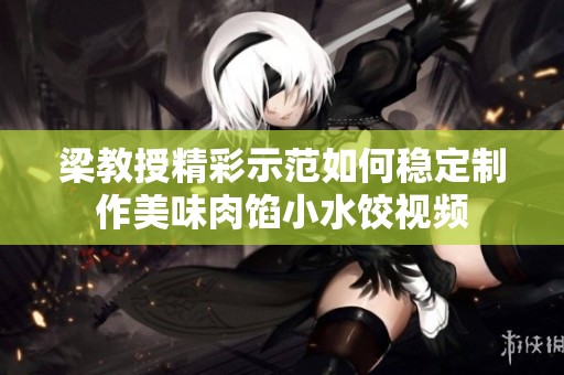 梁教授精彩示范如何稳定制作美味肉馅小水饺视频