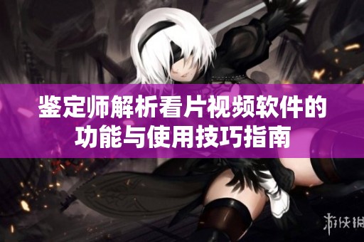 鉴定师解析看片视频软件的功能与使用技巧指南