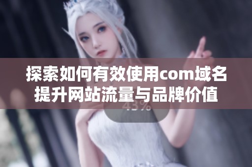 探索如何有效使用com域名提升网站流量与品牌价值