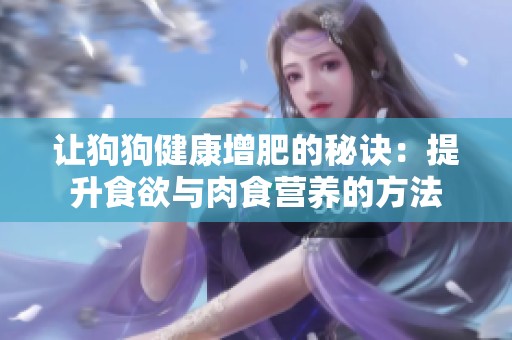 让狗狗健康增肥的秘诀：提升食欲与肉食营养的方法