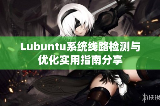 Lubuntu系统线路检测与优化实用指南分享