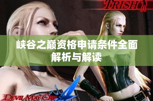 峡谷之巅资格申请条件全面解析与解读