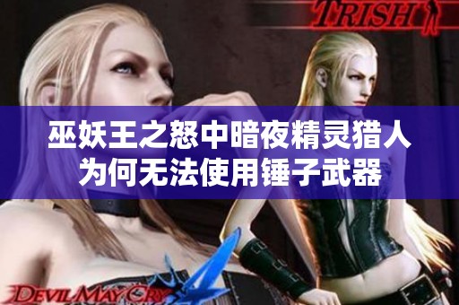 巫妖王之怒中暗夜精灵猎人为何无法使用锤子武器