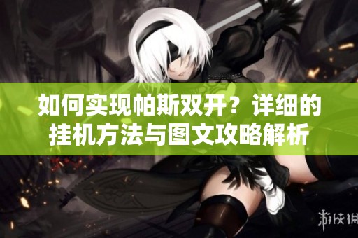 如何实现帕斯双开？详细的挂机方法与图文攻略解析