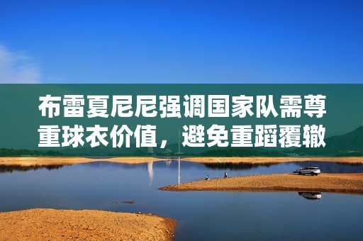 布雷夏尼尼强调国家队需尊重球衣价值，避免重蹈覆辙